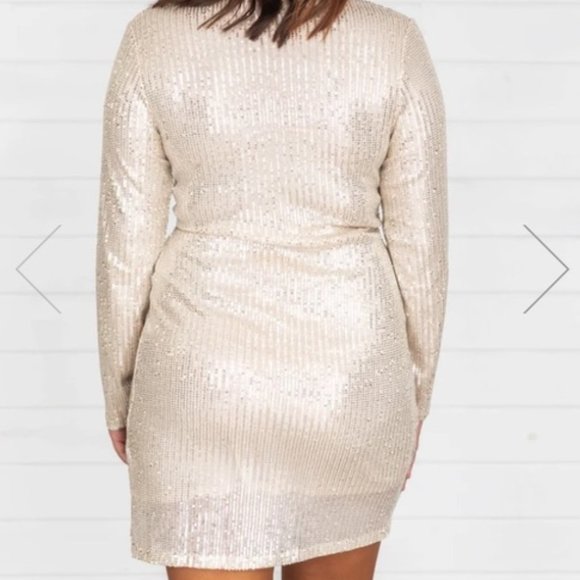 Pink Lily Celebratory Night Sequin Champagne Dress - Picture 3 of 6